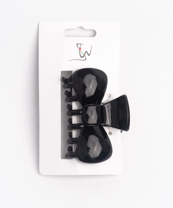 SW Hair Clip