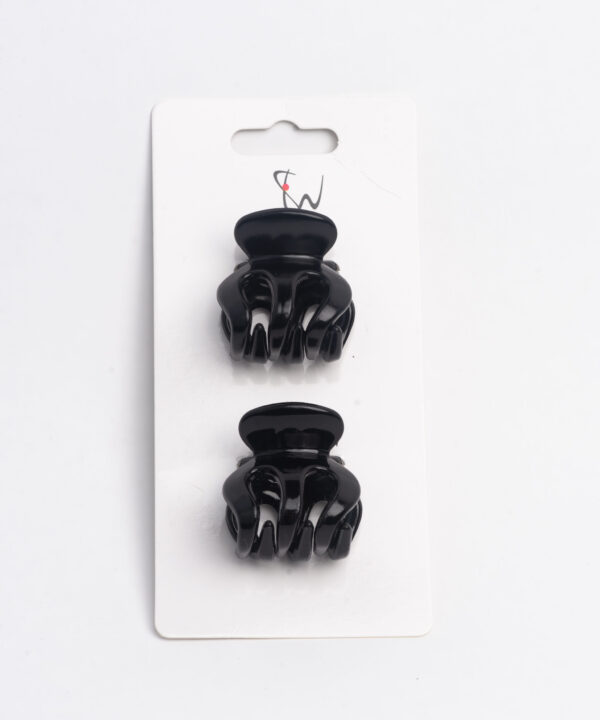 SW Hair Clip