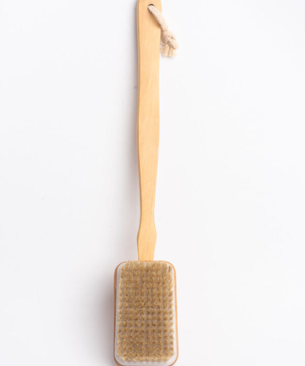 SW Dry Massage Body Brush