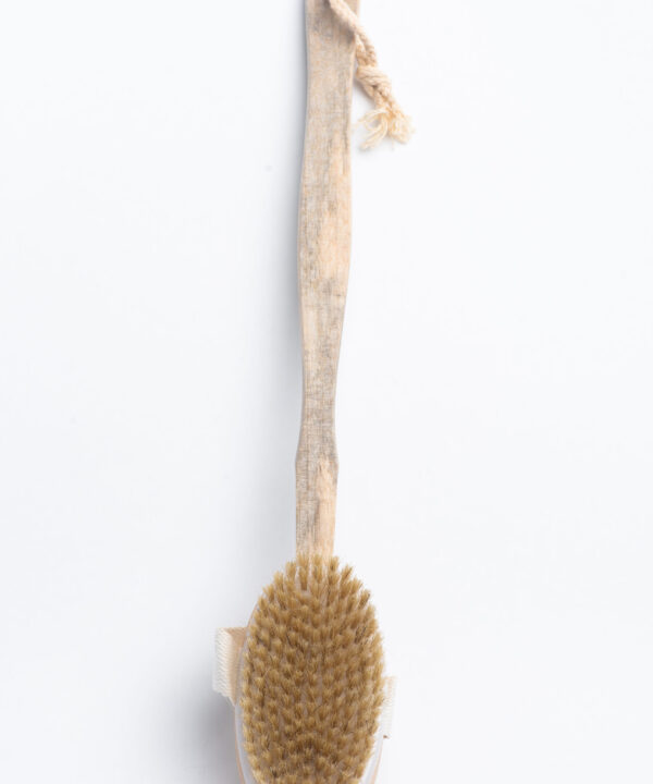 SW Dry Massage Body Brush