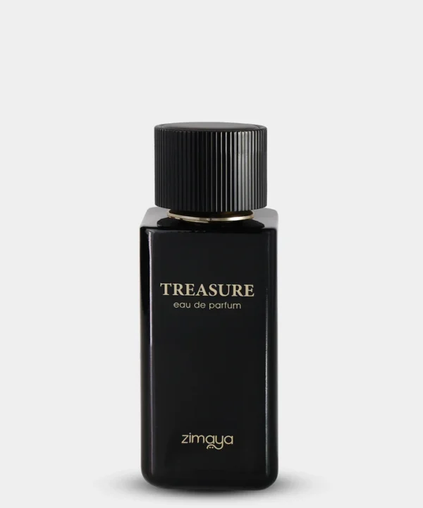 TREASURE EDP 100ML Pour Homme
