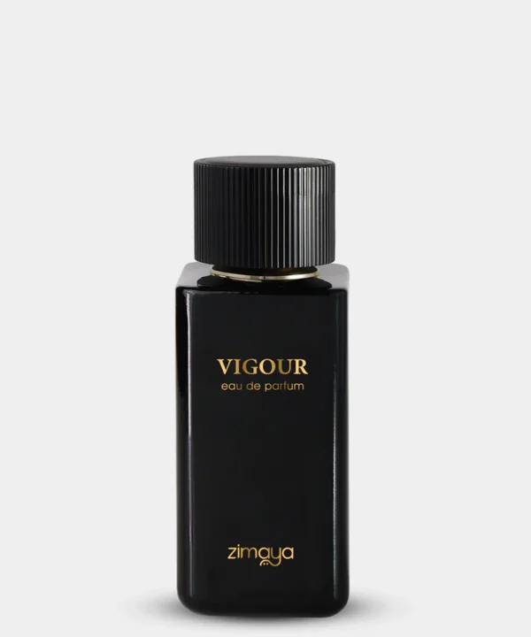VIGOUR EDP 100ML Pour Homme
