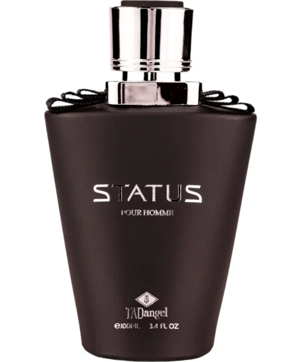 Status Homme by TAD Angel - Men Perfume - EDP 100 ml