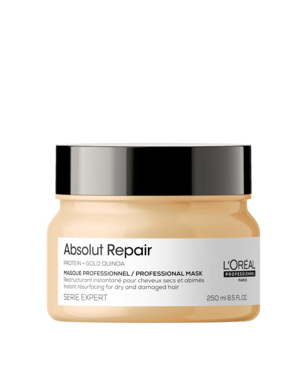 L`OREAL PROFESSIONNEL [Absolut Repair] Instant Resurfacing Masque.250ML