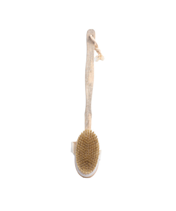 SW Dry Massage Body Brush