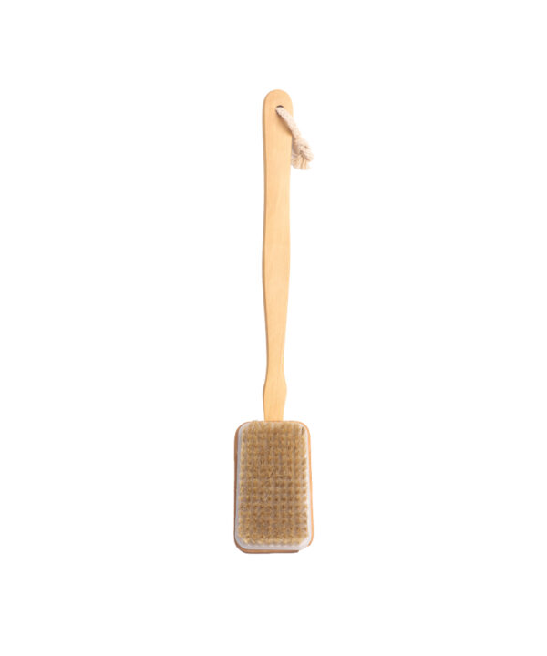 SW Dry Massage Body Brush
