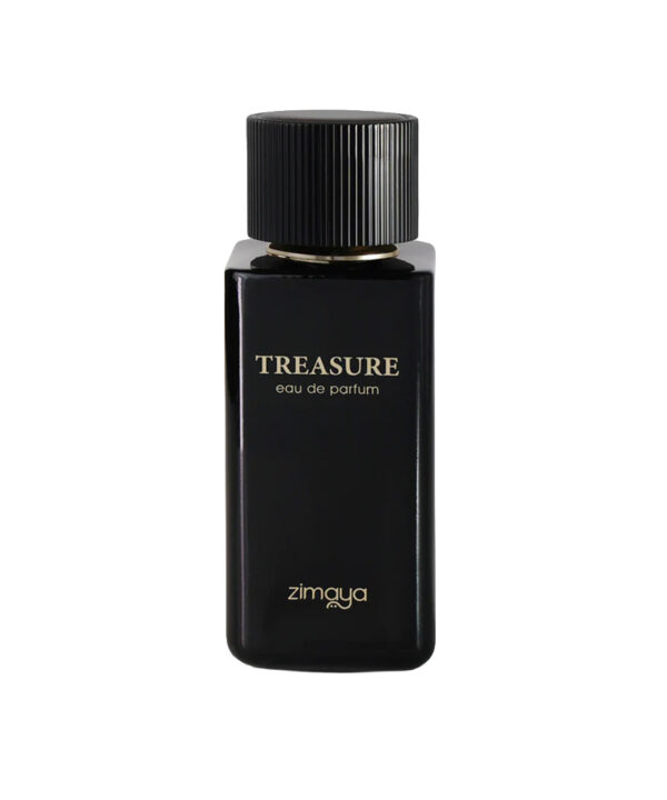 TREASURE EDP 100ML Pour Homme