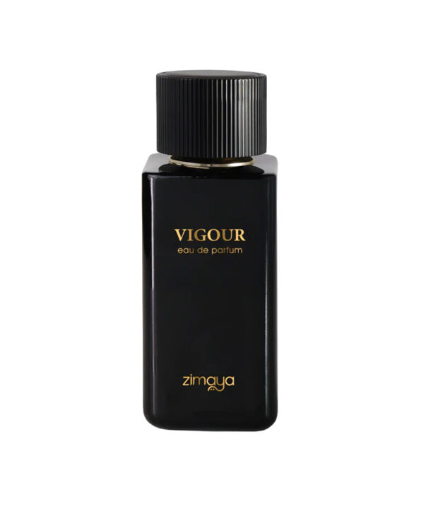 VIGOUR EDP 100ML Pour Homme