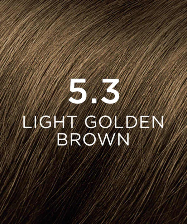 PHYTO hair color 5.3