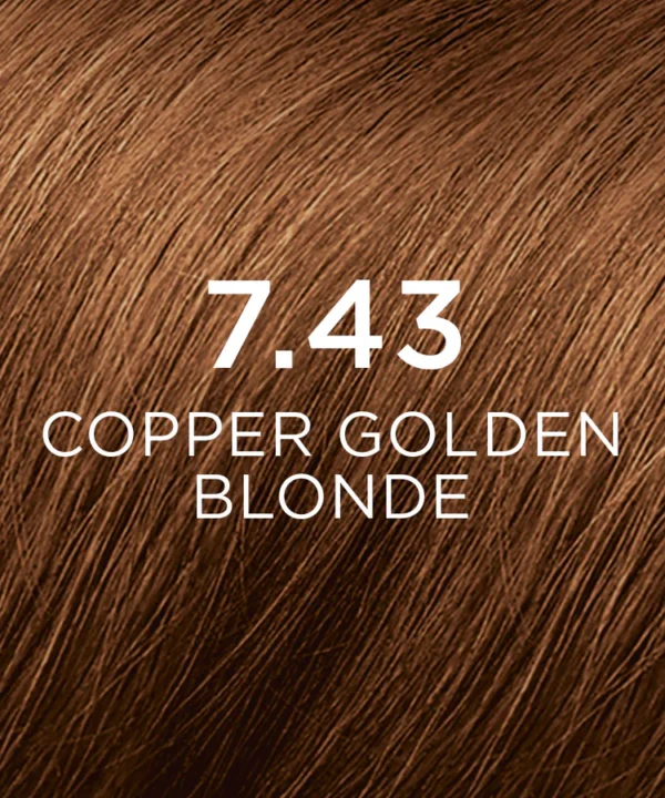 PHYTO hair color 6.34